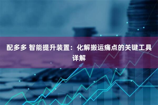 配多多 智能提升装置：化解搬运痛点的关键工具详解