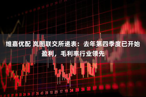 维嘉优配 岚图联交所递表：去年第四季度已开始盈利，毛利率行业领先