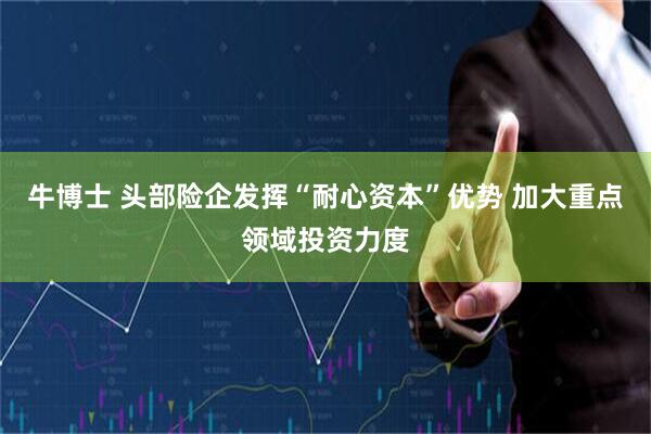 牛博士 头部险企发挥“耐心资本”优势 加大重点领域投资力度