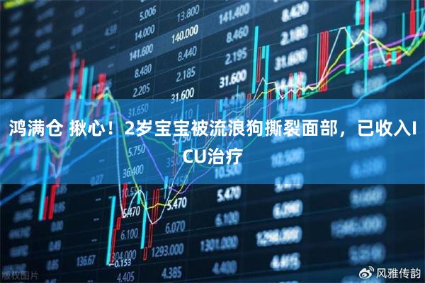 鸿满仓 揪心！2岁宝宝被流浪狗撕裂面部，已收入ICU治疗