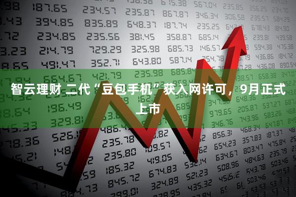 智云理财 二代“豆包手机”获入网许可，9月正式上市
